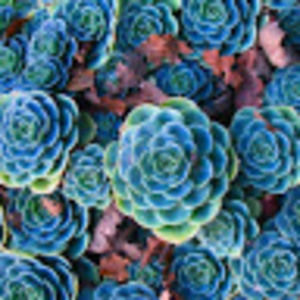 Meet your Posher, Breann